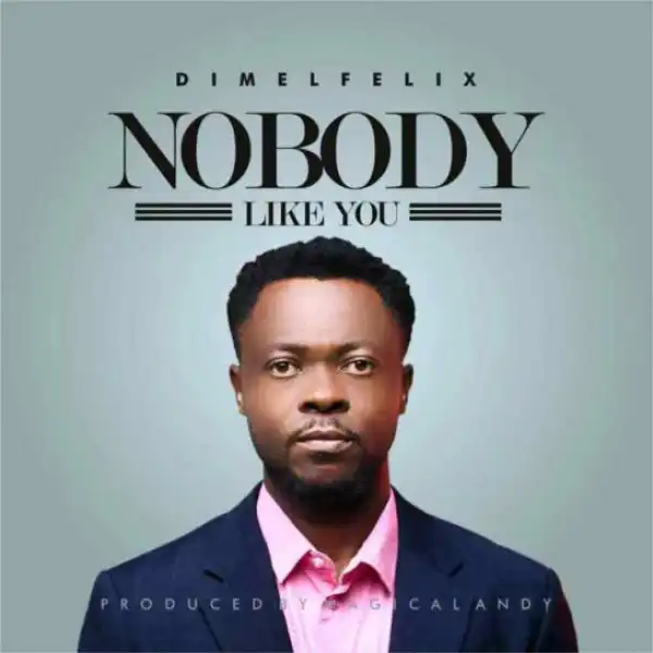 Dimel Felix - No Body Like You